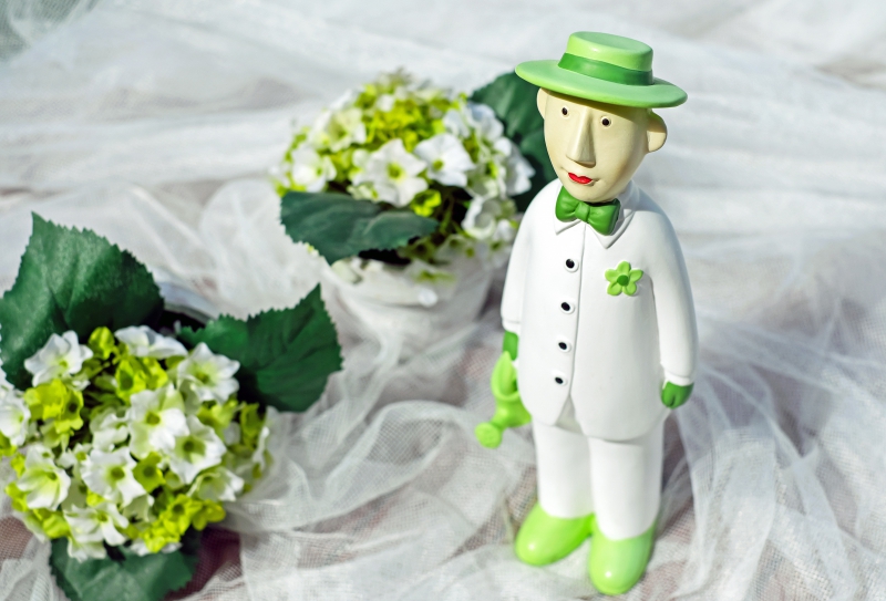 boutique-LA ROQUETTE SUR SIAGNE-min_man-person-flower-green-toy-fig-546529-pxhere.com